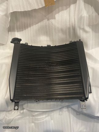 Triumph radiator DAYTONA 600&650 ψυγείο νερού  T2108007