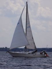 Ιστιοφόρο 1980 C&C 35-thumb-1