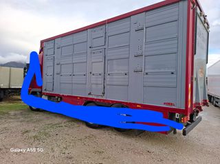 Ζωάδικο 2007 Finkl