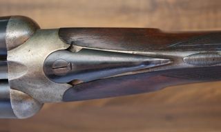 Robust (31078)-thumb-1