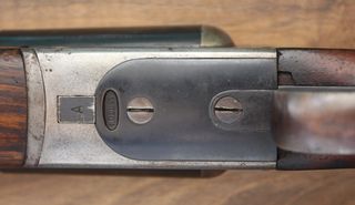 Robust (31078)-thumb-2