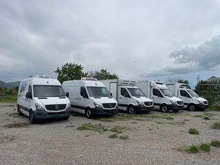 Ψυγείο Mercedes-Benz 2016 Sprinter 316 BT CARRIER + ΥΔΡΑΥΛΙΚΗ ΠΟΡΤΑ-thumb-44