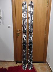 Ski 2022 Dragonfly Custom made