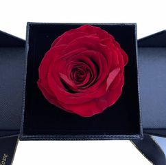 Forever Rose Κόκκινο, με θήκη κοσμήματος σε πολυτελές κουτί 32cm X 10cm X 11cm-thumb-5