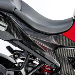 Carbon καπάκια ουράς κάτω από τη σέλα BMW S1000XR 2020 2024