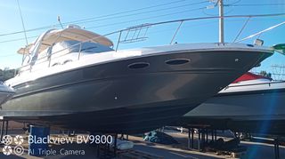 Sea Ray 2000 310