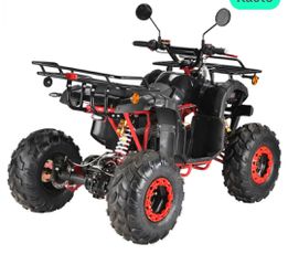 Τετράτροχη-Atv 2025 H 1