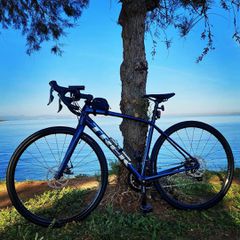 Road - Racing Trek 2022 Trek Domane AL 2 Rim