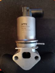 Egr group vag