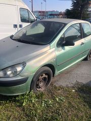 PEUGEOT 307 OΛΑ ΛΕΙΤΟΥΡΓΟΥΝ ΚΑΝΟΝΙΚΑ-thumb-1