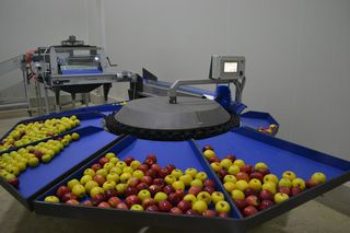 Μηχανήματα Διαλογής-Συσκευασίας 2018 Mini CC round sorter