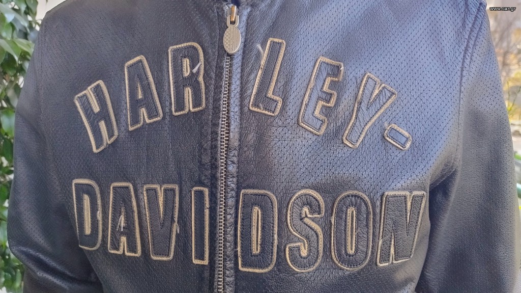 Harley Davidson large