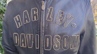 Harley Davidson large