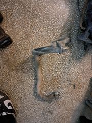Λαιμοι εξατμισης bmw r1150rt-thumb-1