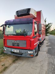 Refrigerator MAN 2009 TGL 8210