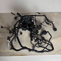 DUCATI Panigale 899 Main Engine Wiring Harness  πλεξούδα                   180€