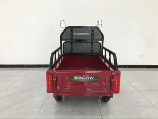 Eborn Cargocat 1 2025-thumb-2