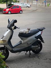 Piaggio Skipper 125 2010