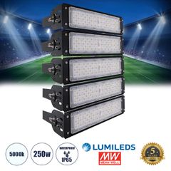 LED Προβολέας Γηπέδου - Φωτιστικό Tunnel 250W 40000LM 75°*135° AC 100-277V IP65 -  Ψυχρό Λευκό 5000K - MeanWell Driver & LumiLEDs Chip - 5 Years Warranty