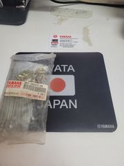 ΑΚΤΙΝΕΣ ΣΕΤ ΠΙΣΩ YAMAHA GT80                        367-25304-00-00