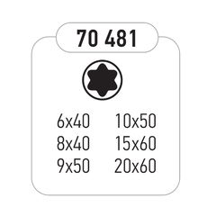 BENMAN ΚΑΤΣΑΒΙΔΙ ΑΚΡΙΒΕΙΑΣ TORX ΣΕΤ 6 ΤΜΧ (70481)