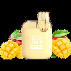 Steam Train 600 Triple Mango 2ml 20mg