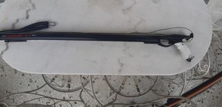 Αλιεία / Ψαροντούφεκο 2022