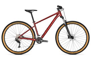 All - Mountain Focus 2025 ΠΟΔΗΛΑΤΟ FOCUS WHISTLER 3.7 RUSTRED 2025 / SIZE L 29"