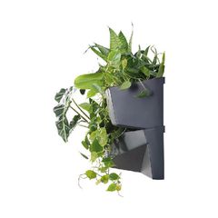 PROSPERPLAST Ζαρντινιέρα επιτοίχια Cascade Wall 2 τεμ. (IO3W800-S433)