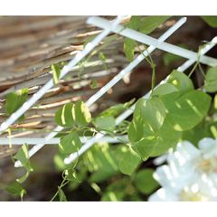 Prosperplast Σκαλωσιά Φυτών Drab Λευκή 20x67 cm (IDR4-S449)