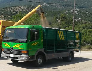 Σιλοφόρο Mercedes-Benz 2002 Atego