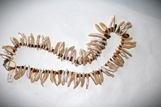 Μακρύ Κολιέ tigers eye, κοχύλια, Ασήμι sterling silver 925 - κλείσιμο καταστήματος SST170