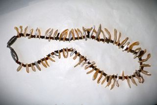 Μακρύ Κολιέ tigers eye, κοχύλια, Ασήμι sterling silver 925 - κλείσιμο καταστήματος SST171