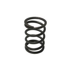 Ελατήριο Συμπλέκτη JL125-6A NOVA125
