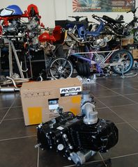 lemos karpirater se opia thesi thelte gia c50 glx dax chaly astrea supra ss50 z50j Z50R monkey Gorilla lifan skyteam Jincheng Jintong JC50 MODIFYING GARAGE "since1993" TAKEGAWAGR - 4miniracingparts,gr-thumb-21