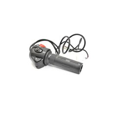 Διακόπτης Φώτων Δεξ. με Γκαζιέρα CPA/CPX 4000WATT/L3E-A1,F01 2000W