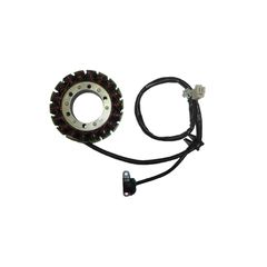 Πηνιοφόρος ELECTROSPORT ESG562 DL1000V-STROM