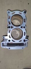 ΚΥΛΙΝΔΡΟΙ TMAX 500 2008-11