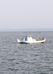 Σκάφος αδειες αλιείας 1981