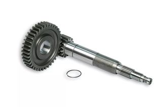 Γραναζια Σασμαν Primary 16/37 Piaggio Zip Sp2 50 Lc, Zip 2 50 Ac, Vespa Et2 50, Primavera 50 6711449 | Malossi