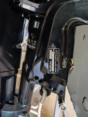 Suzuki 2010 DF 25 L