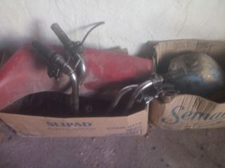 Garelli