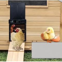 ΑΥΤΟΜΑΤΗ ΠΟΡΤΑ (Α12) ΓΙΑ ΚΟΤΕΤΣΙ ΜΕ ΧΡΟΝΟΔΙΑΚΟΠΤΗ-thumb-3