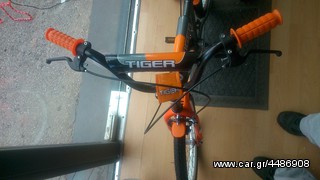 BMX Orient 2013 TIGER 12''14-16-18-20-thumb-1