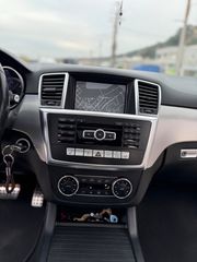 Mercedes-Benz ML 250 2013 BLUETEC 4MATIC-thumb-9