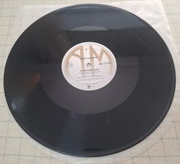 Roger Hodgson – In Jeopardy  12'-thumb-3