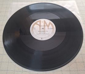 Roger Hodgson – In Jeopardy  12'-thumb-4