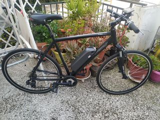 Ηλεκτρικά Ποδήλατα Steppenwolf 2023 Tao light