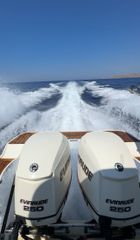 Evinrude 2008 e tec
