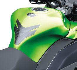 Kawasaki 2025 NINJA 1100 SX SPECIAL PERFORMANCE EDITION-thumb-5